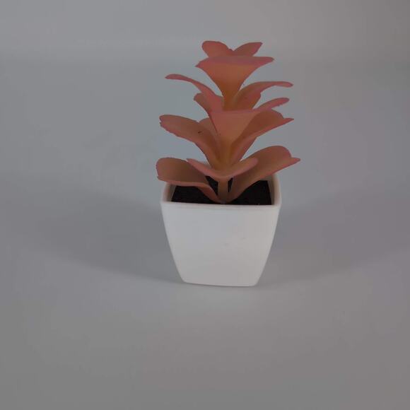 Mini Fake Faux Artificial Pink Succulent Potted Plant in Plastic White Pot - GUC - Picture 5 of 10